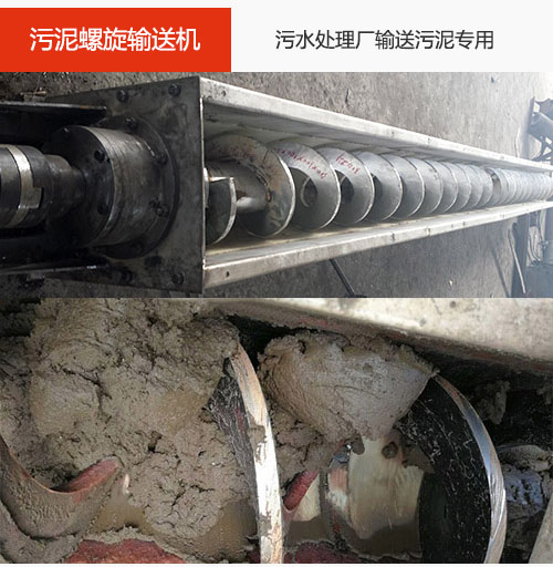 污泥小黄片轻量版水平/倾斜输送，污水厂输送污泥专用设备。